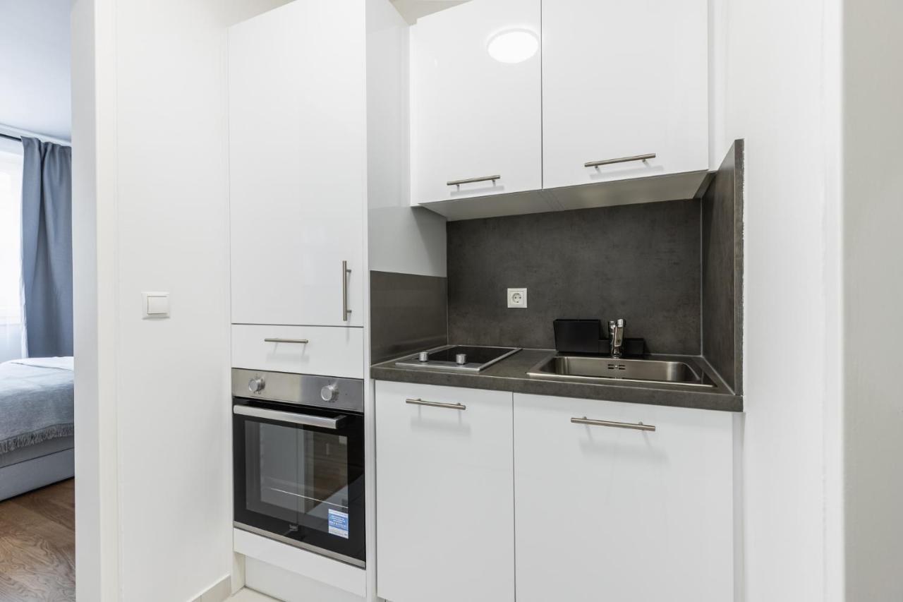 Bright Stylish Apartment In A Top Location Виена Екстериор снимка